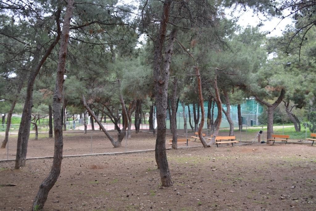 Πάρκο σκύλων στο Δήμο Καισαριανής