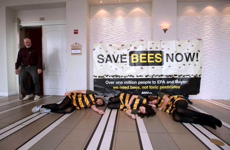 “Σώστε τις μέλισσες”:1,75 εκατ. Βαυαροί ζητούν τη διενέργεια δημοψηφίσματος