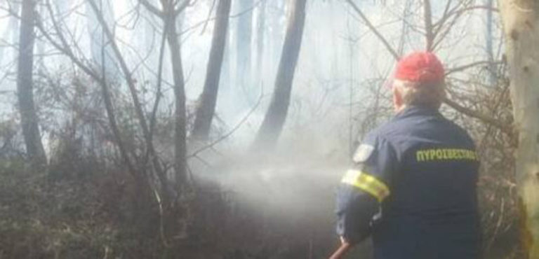 Φλώρινα: Υπό έλεγχο τέθηκε δασική φωτιά στην Υδρούσα