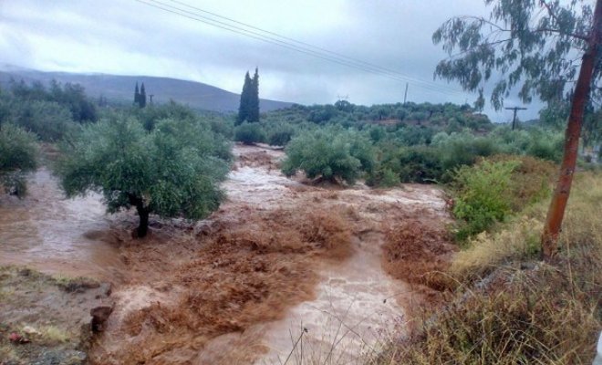 Δ. Πλατανιά: Δηλώσεις ζημιών στο πάγιο και φυτικό κεφάλαιο από τις καταστροφικές βροχοπτώσεις