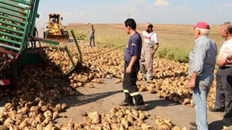 Ανάρτηση καταστάσεων πληρωμής για την παραγωγή σακχαρότευτλων