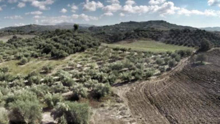 Συγκροτείται σημείο υποστήριξης της ανάρτησης δασικών χαρτών προ-Καποδιστριακών ΟΤΑ