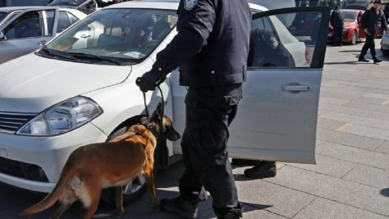 Η Kίνα κλωνοποίησε τη «Σέρλοκ Χολμς των αστυνομικών σκύλων»