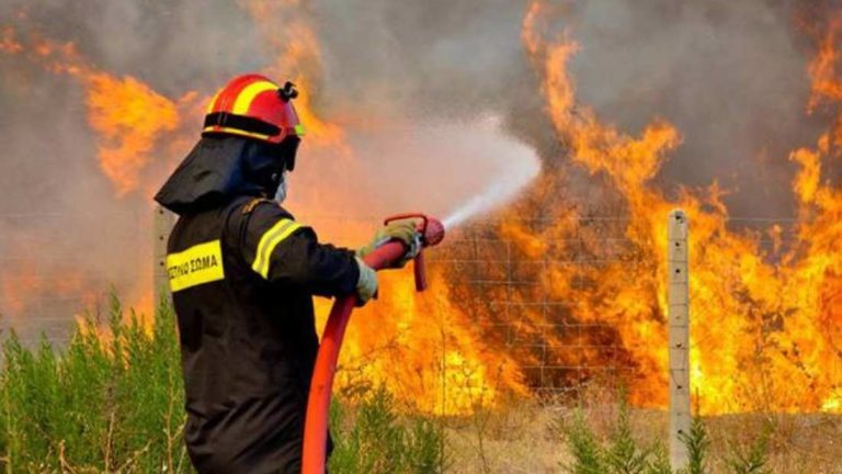 Αργολίδα: Πυρκαγιά σε δασική έκταση στην Μονή Καρακάλα