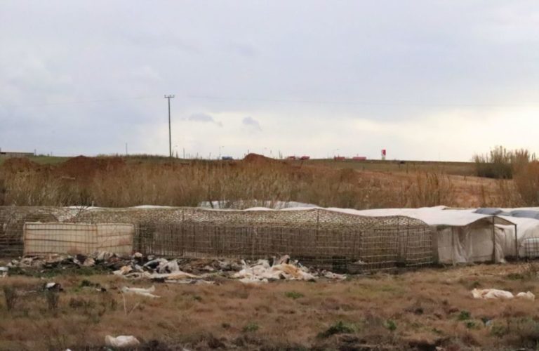 Συγκίνηση, ένα βήμα μετά