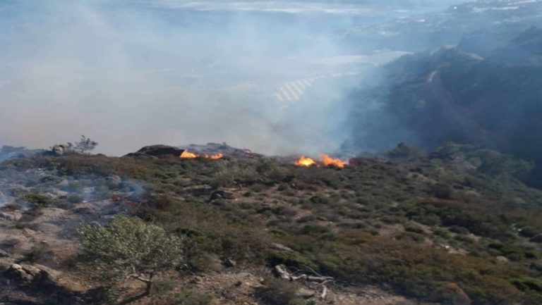 Θεσσαλονίκη: Φωτιά σε δασική έκταση στην Μικροκώμη