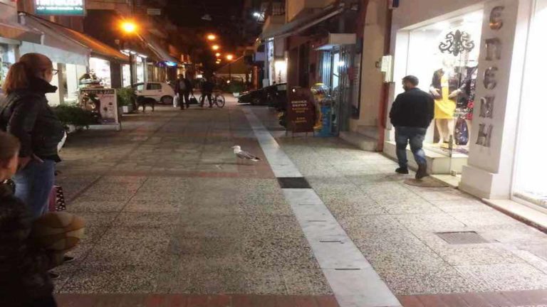 Επιχείρηση απεγκλωβισμού γλάρου από φωταγωγό πολυκατοικίας