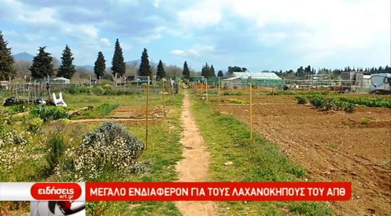 Οι λαχανόκηποι του ΑΠΘ (video)