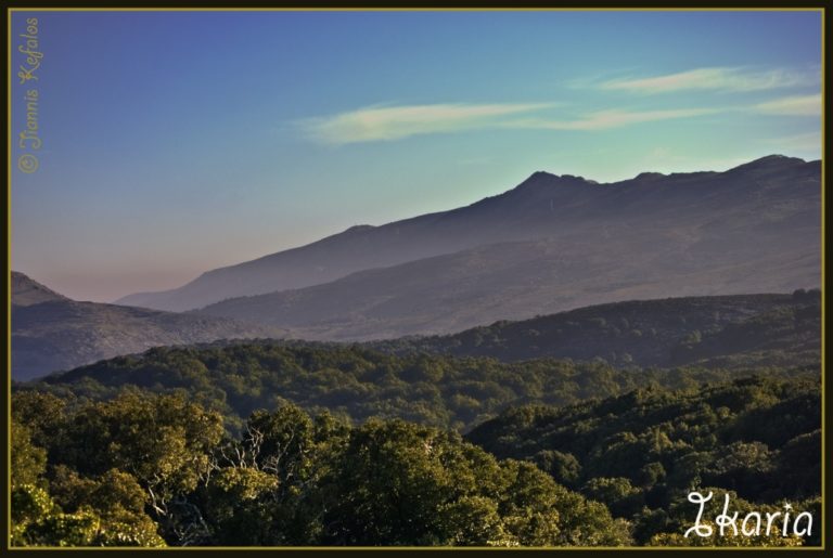 Συνάντηση με τον Αν. Υπ. Σ. Φάμελο ζητά ο δήμαρχος Ικαρίας Στ. Σταμούλος για τα δημοτικά δάση.