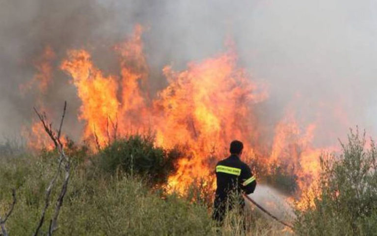 Πυρκαγιά στην Καλλιθέα του Δήμου Ανδρίτσαινας-Κρεστένων