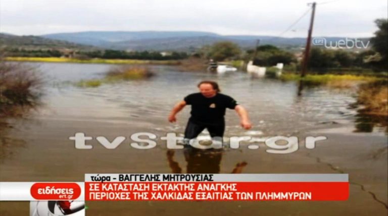 Σε κατάσταση έκτακτης ανάγκης περιοχές της Χαλκίδας εξαιτίας των πλημμυρών (video)
