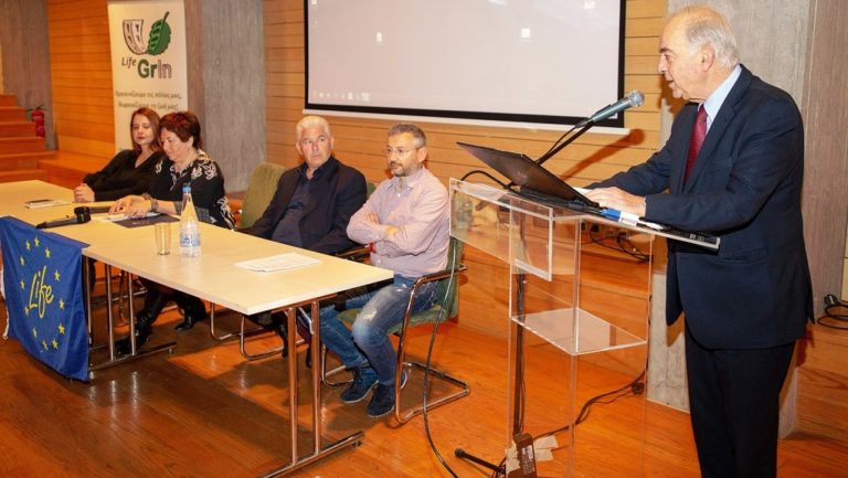 Πράσινο με ντόπια φυτά