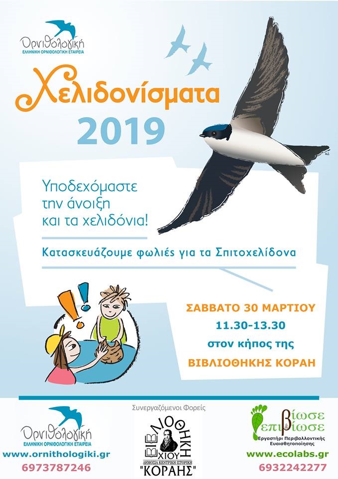 Φτιάχνουν Πήλινες χελιδονοφωλιές στα “χελιδονίσματα” στη Βιβλιοθήκη ΚΟΡΑΗ