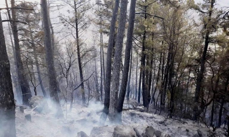 Δράμα: Μέτρα για την προστασία του δασικού περιβάλλοντος