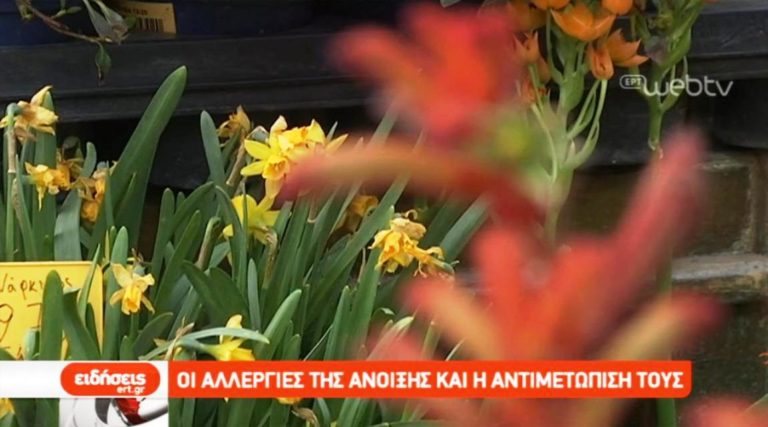 Οι αλλεργίες της άνοιξης (video)