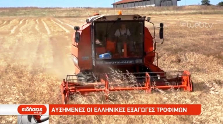 Αυξημένες οι ελληνικές εξαγωγές τροφίμων (video)