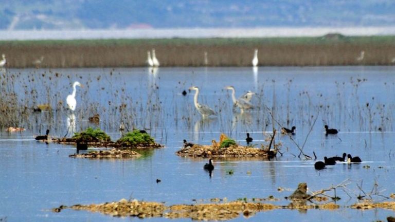 Λεύκωμα για τη Λίμνη Κάρλα με αφορμή τα 10 χρόνια από την ανασύστασή της