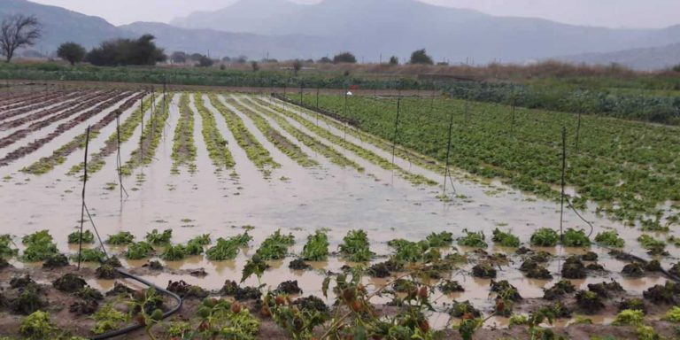 Έκτακτη κρατική οικονομική ενίσχυση (De Minimis) για τον Δήμο Οροπεδίου Λασιθίου