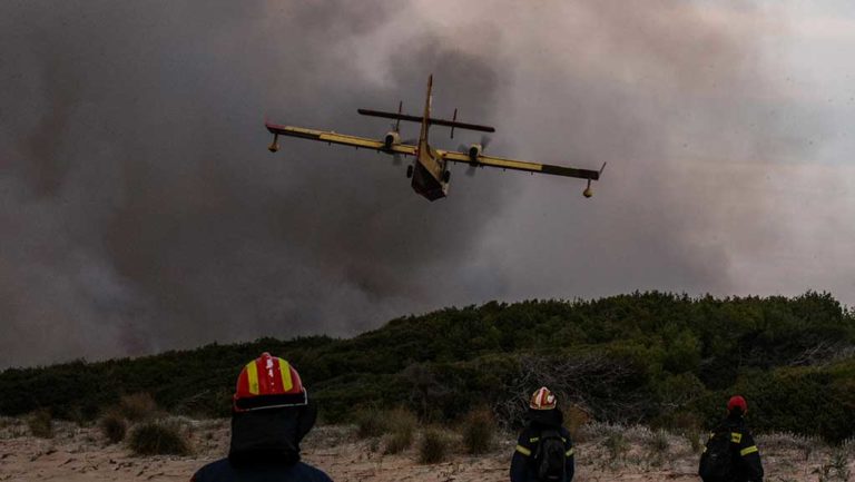 Σε ύφεση η πυρκαγιά στο Δάσος της Στροφυλιάς-Μεγάλη οικολογική καταστροφή (video)
