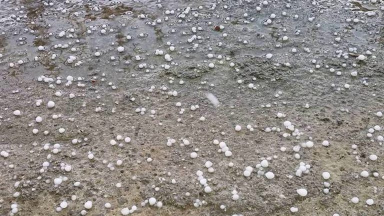 Σφοδρή χαλαζόπτωση έπληξε καλλιέργειες στο δήμο Παλαμά