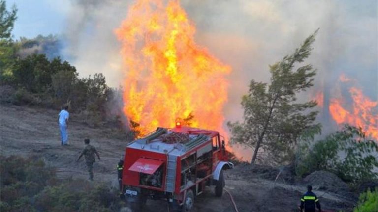Φωτιά στον Αίθωνα-Έκαψε 50 στρέμματα καλαμιές και ελαιόδεντρα