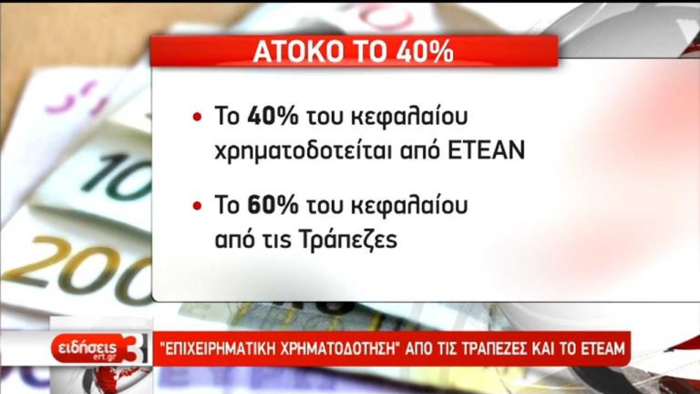 “Επιχειρηματική χρηματοδότηση” από τις τράπεζες και το ΕΤΕΑΜ (video)