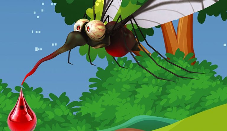 Καβάλα: Αεροψεκασμοί… για την καταπολέμηση των κουνουπιών
