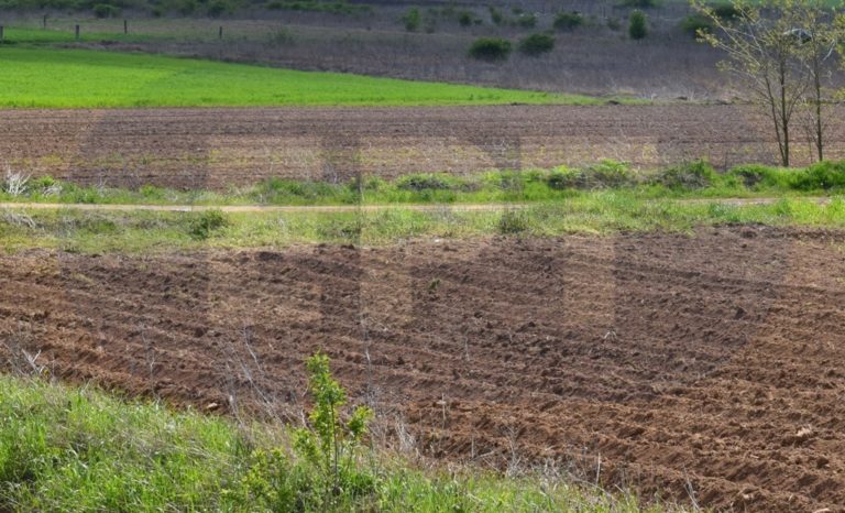 Xωράφια στην Κάρλα παραχωρεί η Περιφέρεια Θεσσαλίας σε αγρότες και ανέργους