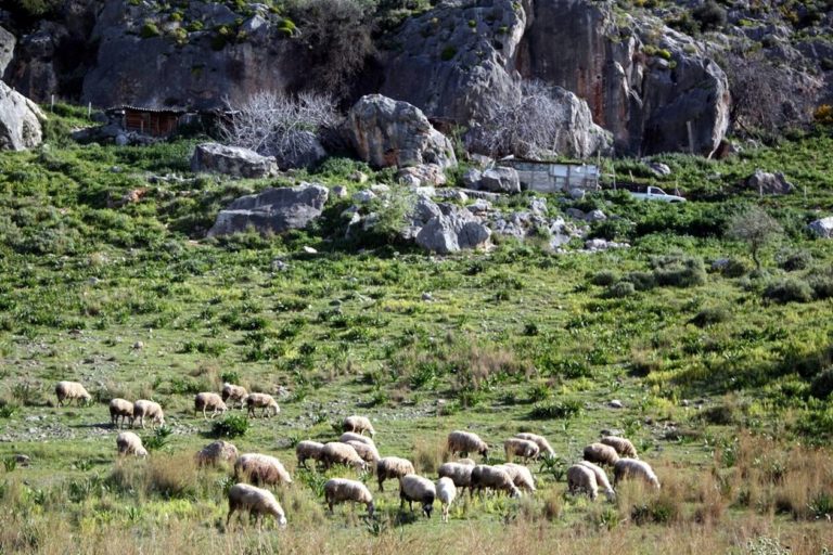 Μέχρι 18 Ιουνίου οι αιτήσεις  για την Εξισωτική Αποζημίωση 2019