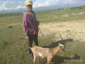 Η μοναδική γυναίκα  κτηνοτρόφος στο Γλυκονέρι της Ροδόπης