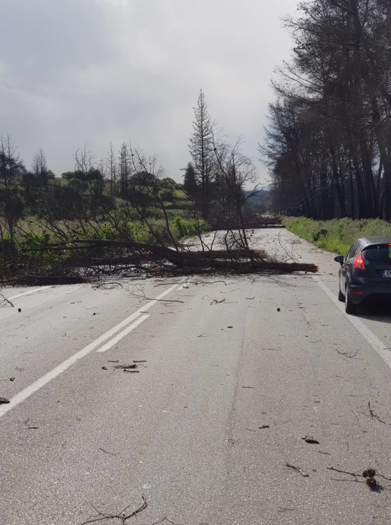 Χανιά: Προβλήματα από τους ισχυρούς νοτιάδες