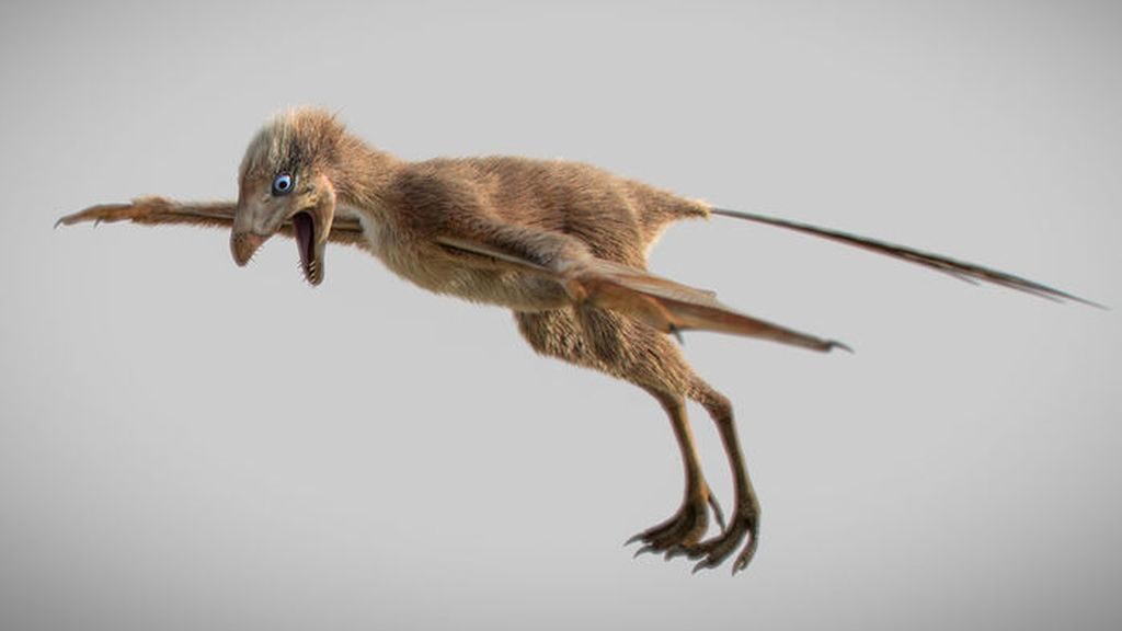 Κίνα: Ανακαλύφθηκε μικρόσωμος δεινόσαυρος με φτερά όπως αυτά των νυχτερίδων