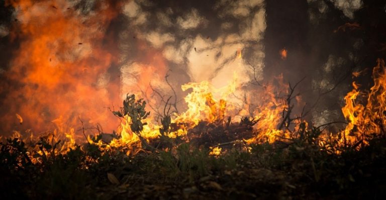 Αλεξανδρούπολη: Υποχρεωτικός ο καθαρισμός οικοπέδων από τους ιδιοκτήτες