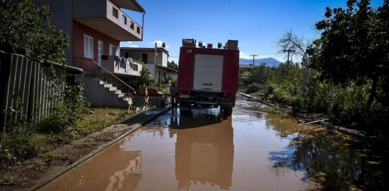 Δήλωση ζημιάς από τους παραγωγούς για τις πλημμύρες