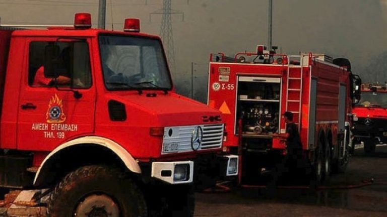 Οριοθετήθηκε η μεγάλη φωτιά στην περιοχή Νεράκι Λαυρίου (video)