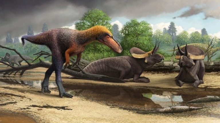ΗΠΑ: Ανακαλύφθηκε μικρομεσαίος πρόγονος του Τυραννόσαυρου