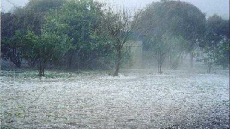 Στις πληγείσες περιοχές από χαλάζι του Αλμυρού αύριο ο ΕΛΓΑ