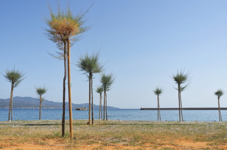 Καλαμάτα: Απόψε η «Γαλάζια Νύχτα»