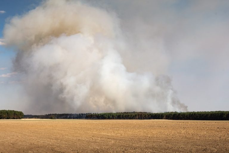 Έβρος: Σε υψηλή επικινδυνότητα για εκδήλωση πυρκαγιάς