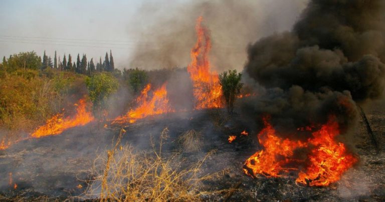 Χανιά: Υψηλός κίνδυνος πυρκαγιάς την Τετάρτη