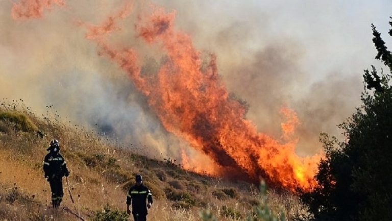 Εκδήλωση για τις δασικές πυρκαγιές στη Χερσόνησο