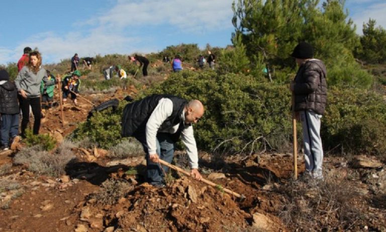 Tην αξιοποίηση του Ριγανόκαμπου διεκδικεί ο Πελετίδης