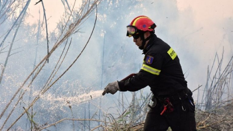 Λάρισα: Δύο πυρκαγιές σε εξέλιξη