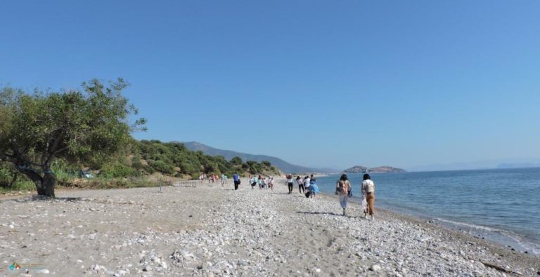 Κυνουρία: Δράση για το περιβάλλον
