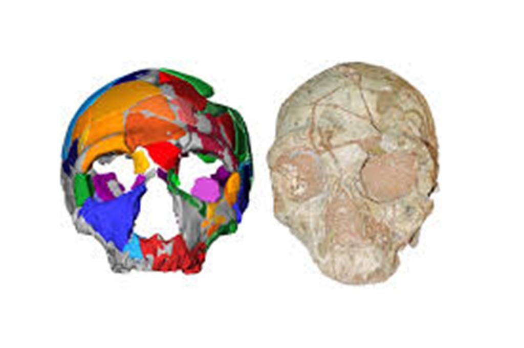 Λακωνία : Στο σπήλαιο Απήδημα το αρχαιότερο εύρημα Homo Sapiens
