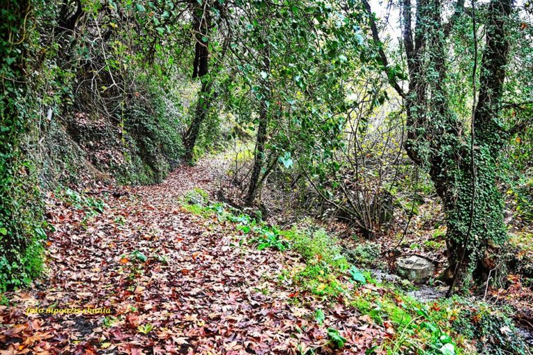 Χανιά: Αίσιο τέλος είχε η περιπέτεια οικογένειας Γάλλων
