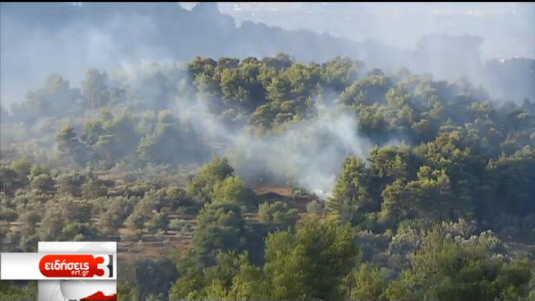 Σε εξέλιξη πυρκαγιές σε Μέγαρα, Ιωάννινα, Μυτιλήνη – Σε ύφεση στον Κιθαιρώνα (video)