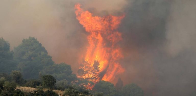 Απαγόρευση κυκλοφορίας λόγω αυξημένου κινδύνου πυρκαγιάς στη Χαλκιδική