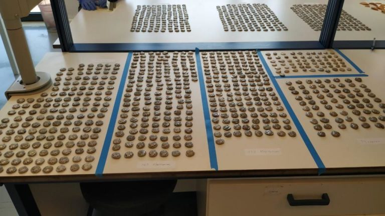 Κήποι: Σύλληψη Τούρκου που μετέφερε 1055 αρχαία νομίσματα