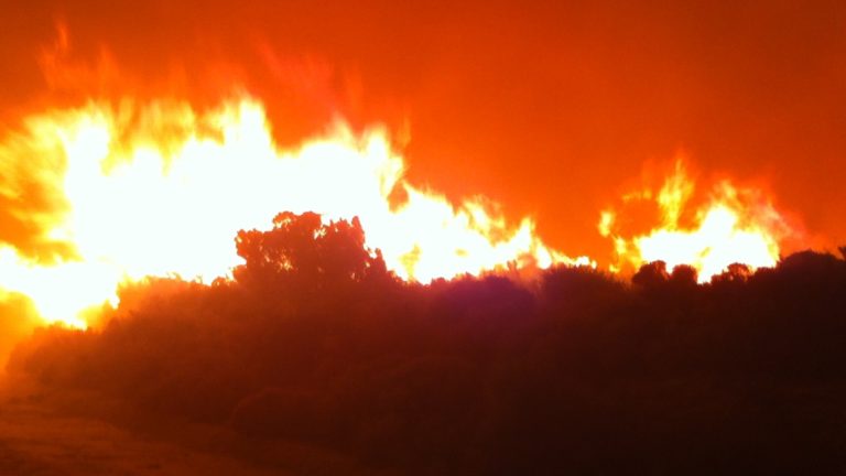 Υπό μερικό έλεγχο φωτιά που ξέσπασε στο Νεοχώρι
